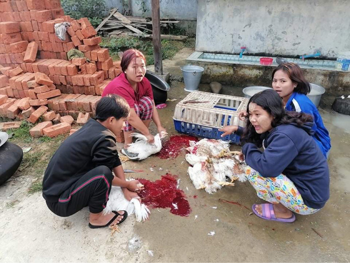 SEAM Foundation January 2022 Part 2