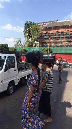 SEAM Foundation About