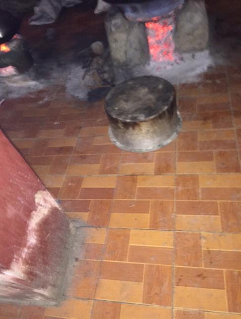 SEAM Foundation Donate