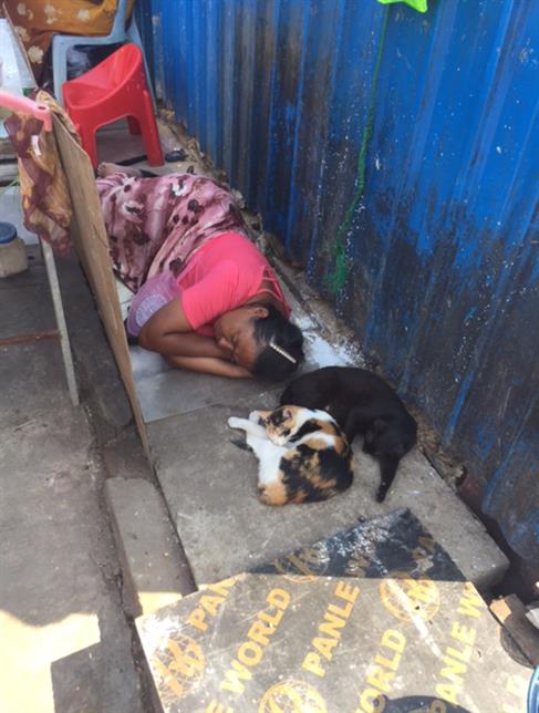 SEAM Foundation Donate