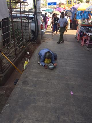 SEAM Foundation Donate