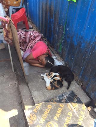 SEAM Foundation Donate