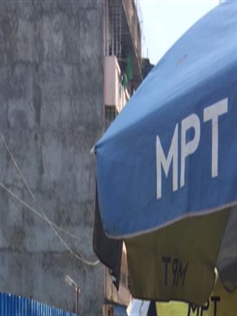 SEAM Foundation Index