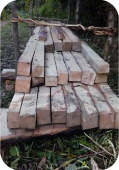 SEAM Foundation January 2017 Praying Partners