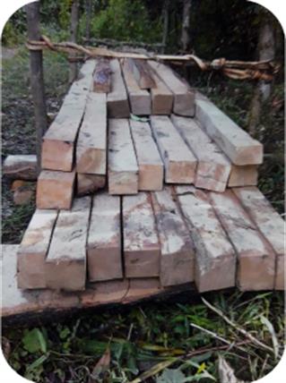 SEAM Foundation January 2017 Praying Partners