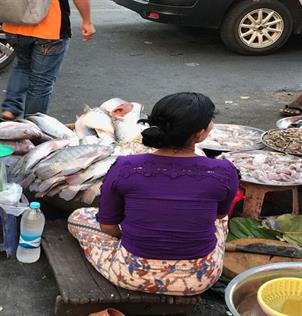 SEAM Foundation Other December 2017 Pictures