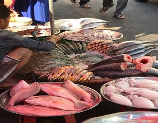 SEAM Foundation Other December 2017 Pictures