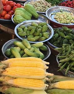 SEAM Foundation Other December 2017 Pictures