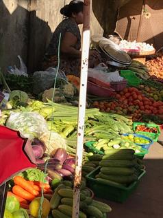 SEAM Foundation Other December 2017 Pictures