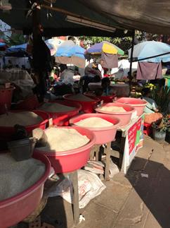 SEAM Foundation Other December 2017 Pictures