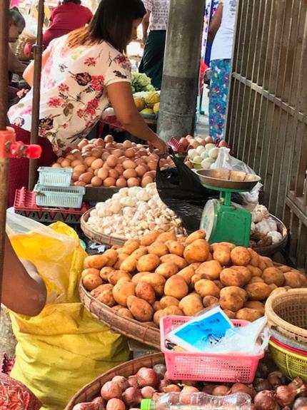 SEAM Foundation Other December 2017 Pictures