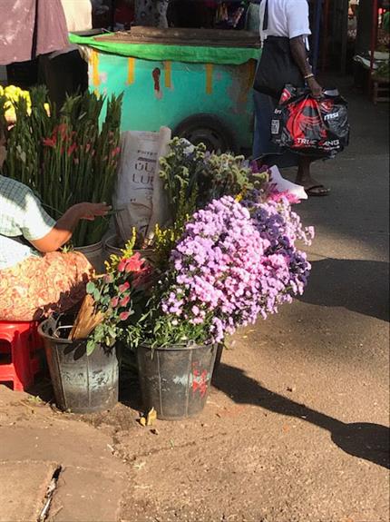 SEAM Foundation Other December 2017 Pictures