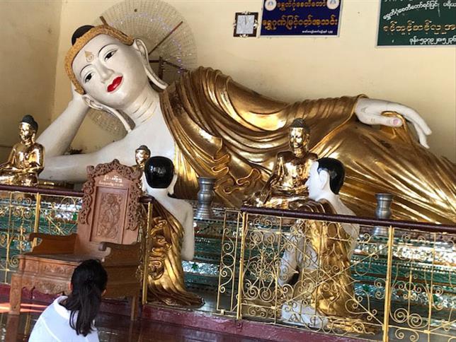 SEAM Foundation Other December 2017 Pictures