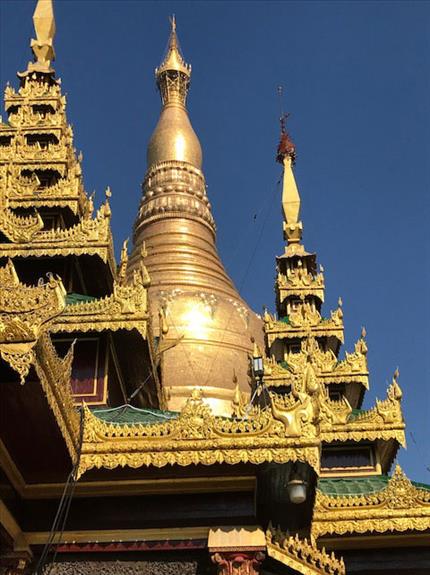 SEAM Foundation Other December 2017 Pictures