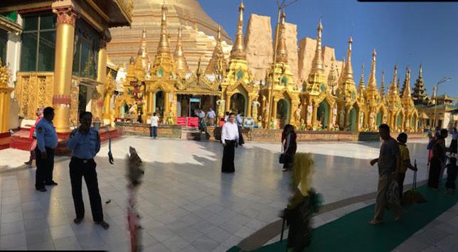 SEAM Foundation Other December 2017 Pictures