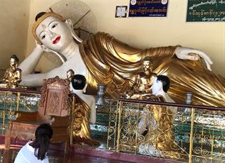 SEAM Foundation Other December 2017 Pictures