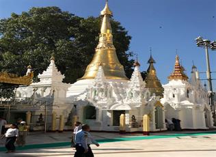 SEAM Foundation Other December 2017 Pictures