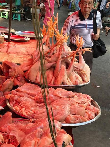 SEAM Foundation Other December 2017 Pictures